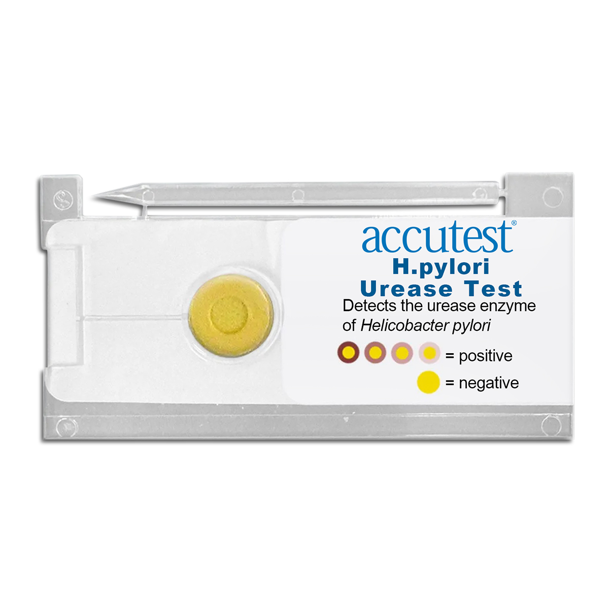 accutest-h-pylori-urease-test-negative